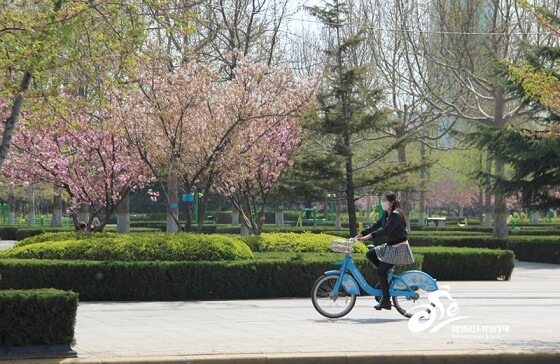 潍坊公共自行车劳动节坚守岗位保障市民绿色出行1