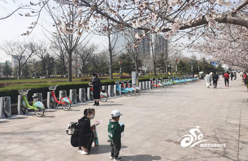 绿色出行再升级，人民广场赏花骑行更便利！