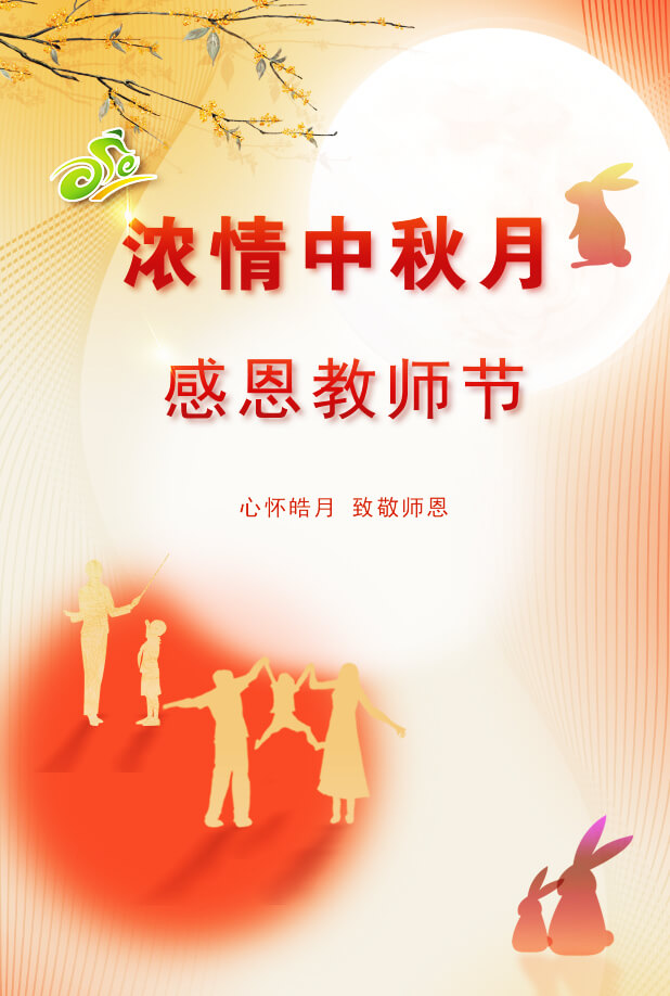 图片12